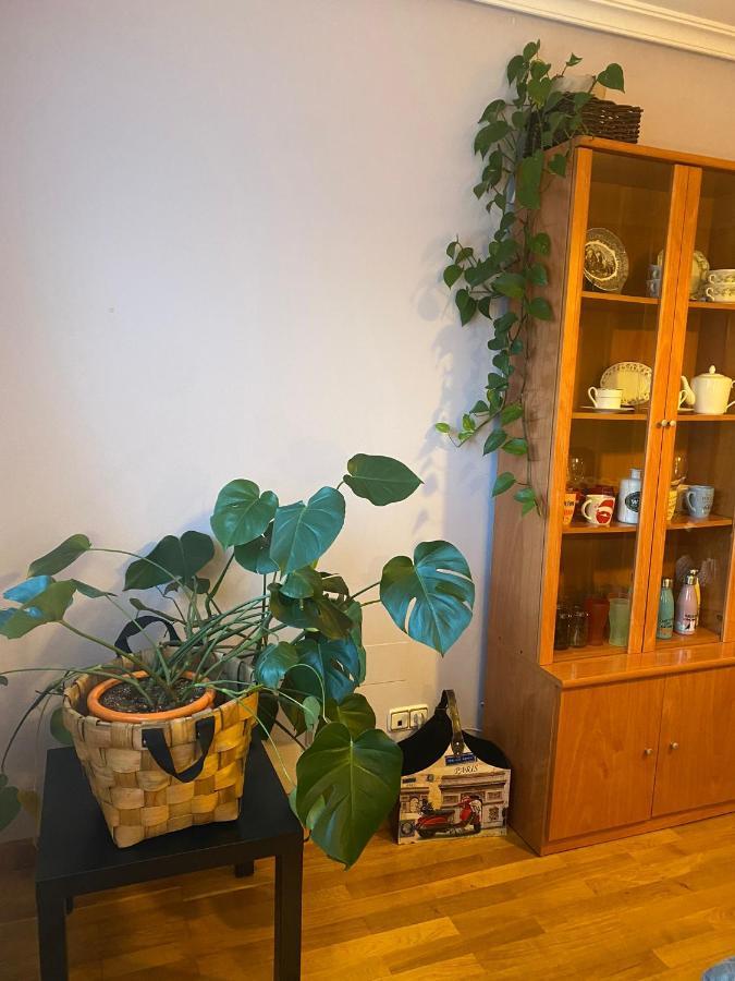 Apartament Alameda 5 Oviedo Zewnętrze zdjęcie