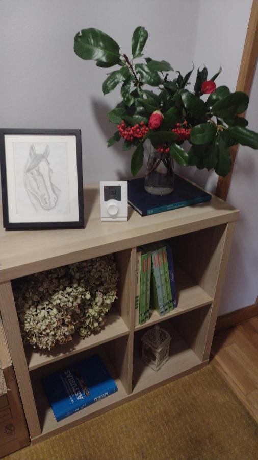 Apartament Alameda 5 Oviedo Zewnętrze zdjęcie